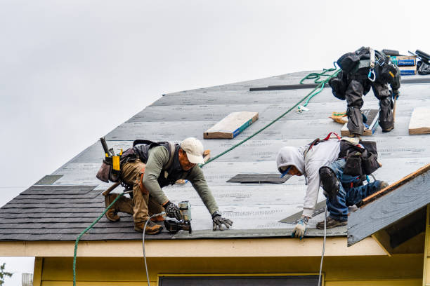 Professional Roofing technician working in Goose Lake, IA